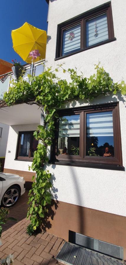 Karibu Apartment Tiefenthal Bagian luar foto